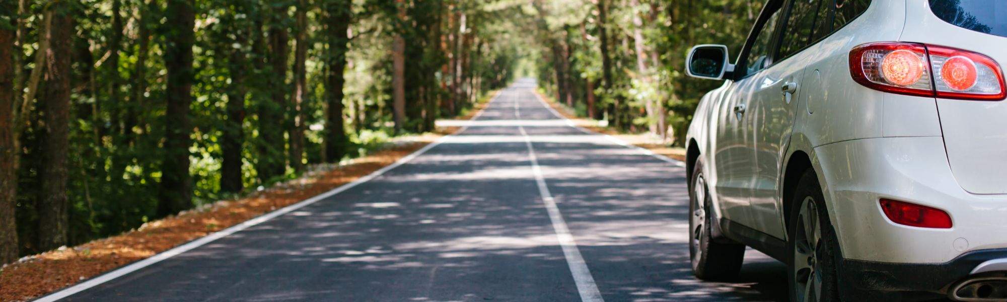 Drive Safe and Save Big Discover the Cheapest Auto Insurance in